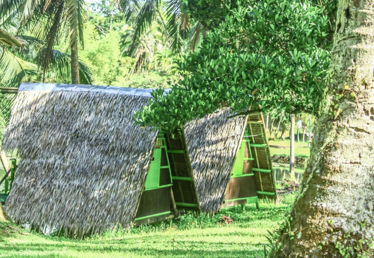 Caliraya Ecoville Recreation And Farm Resort Cavinti Esterno foto