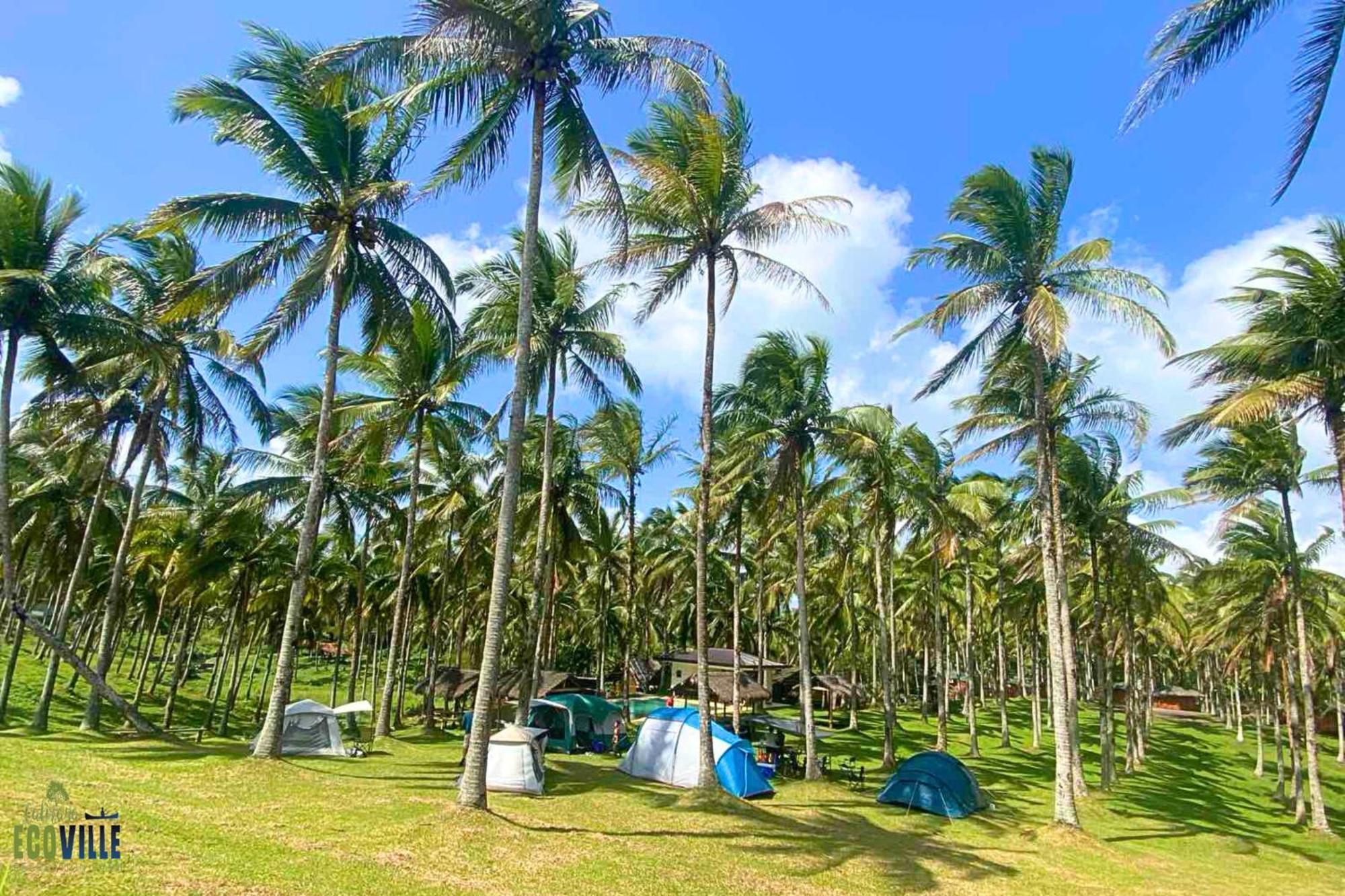 Caliraya Ecoville Recreation And Farm Resort Cavinti Esterno foto